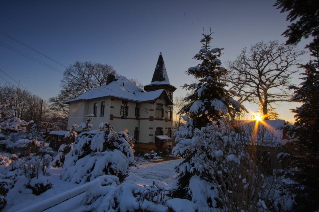 Turmvilla Vogtland Oelsnitz  المظهر الخارجي الصورة